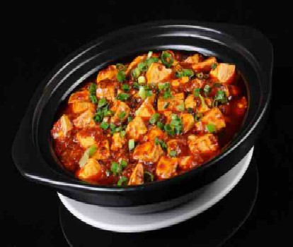 chinesefoodsrecipe-mapo tofu recipe